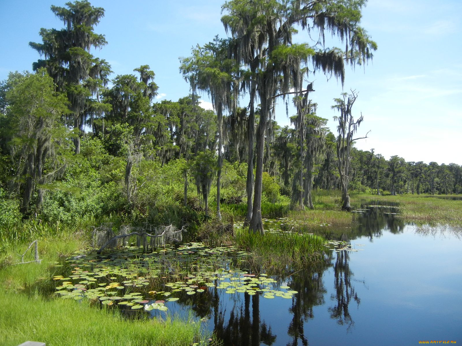 lake, louisa, , , , 